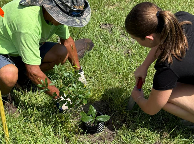 Volunteers Planting Plants