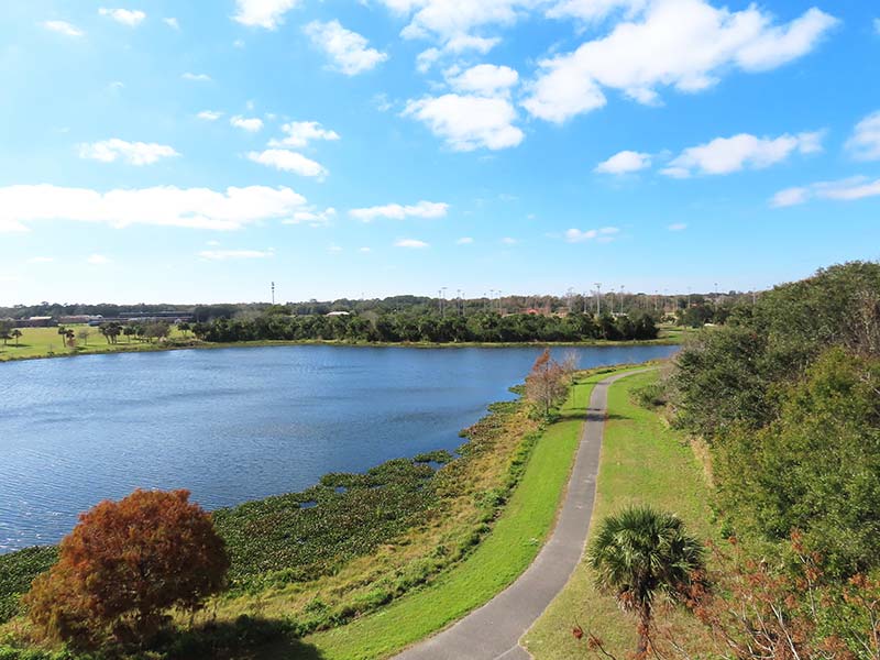 dsc_02734066d95ae11541f5a33fd57b7b6239e0