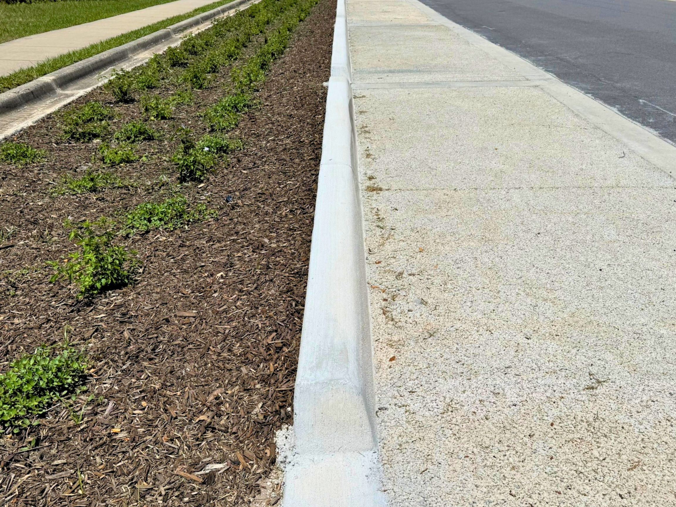 CRA Downtown LID Demonstration Site on Indian River Ave starting at Broad St in Titusville, FL